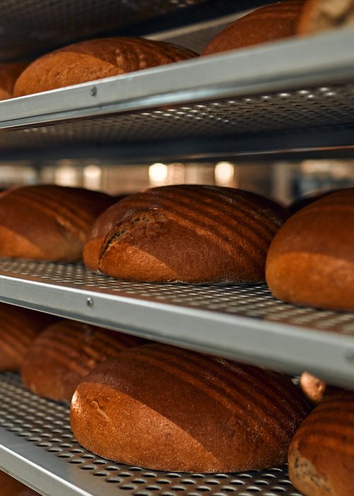 A lot of bread prepare to move on in the shelf. Bread bakery food factory production with fresh products. Automated production of bakery products.